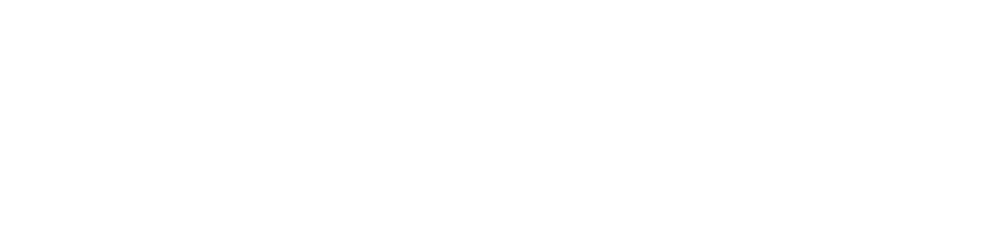 Liebermann Solutions